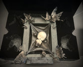 safe net skullpanda limited figure(cat159)