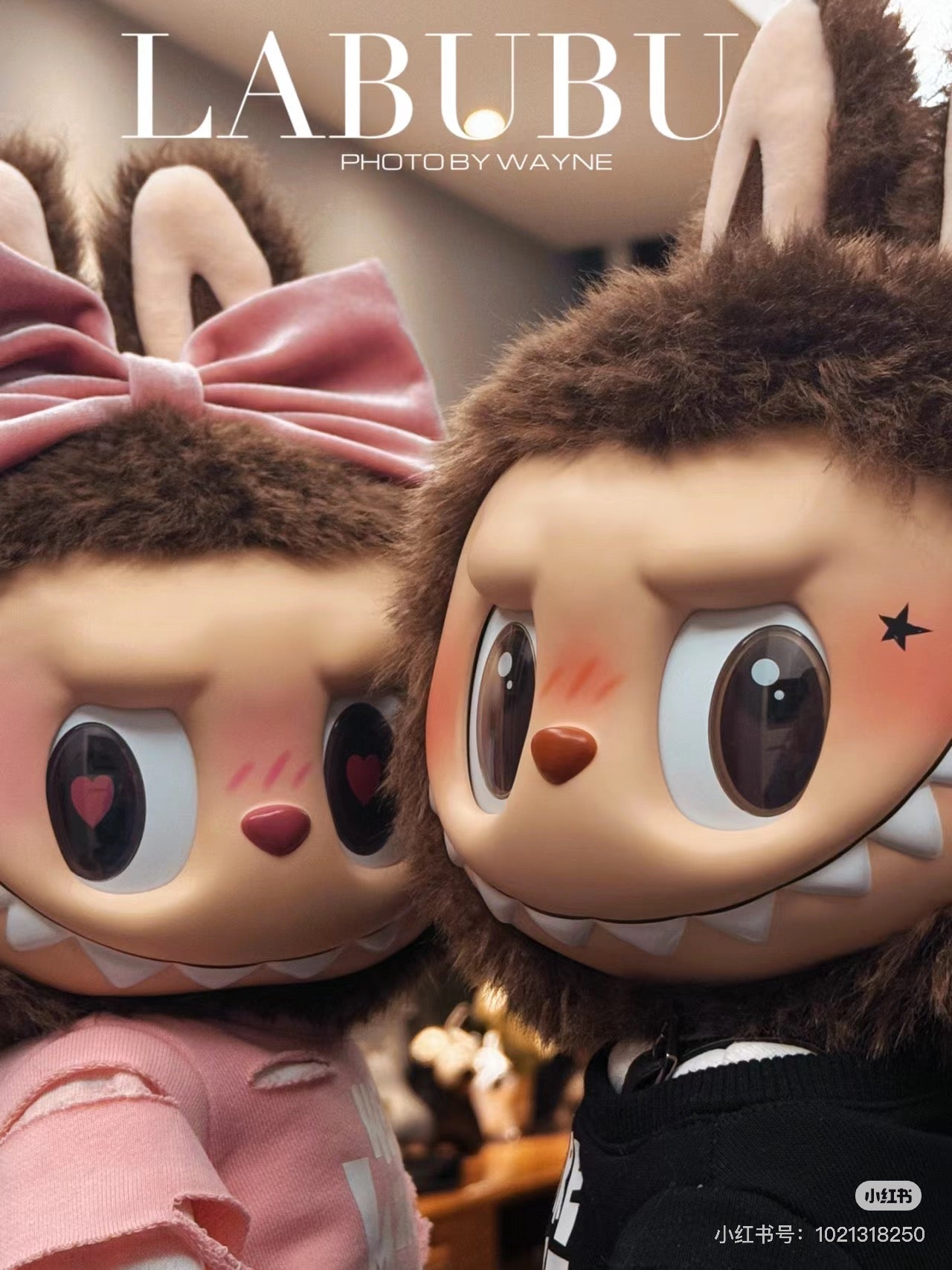 IMG-9716_dad4e56d-041b-4e2c-