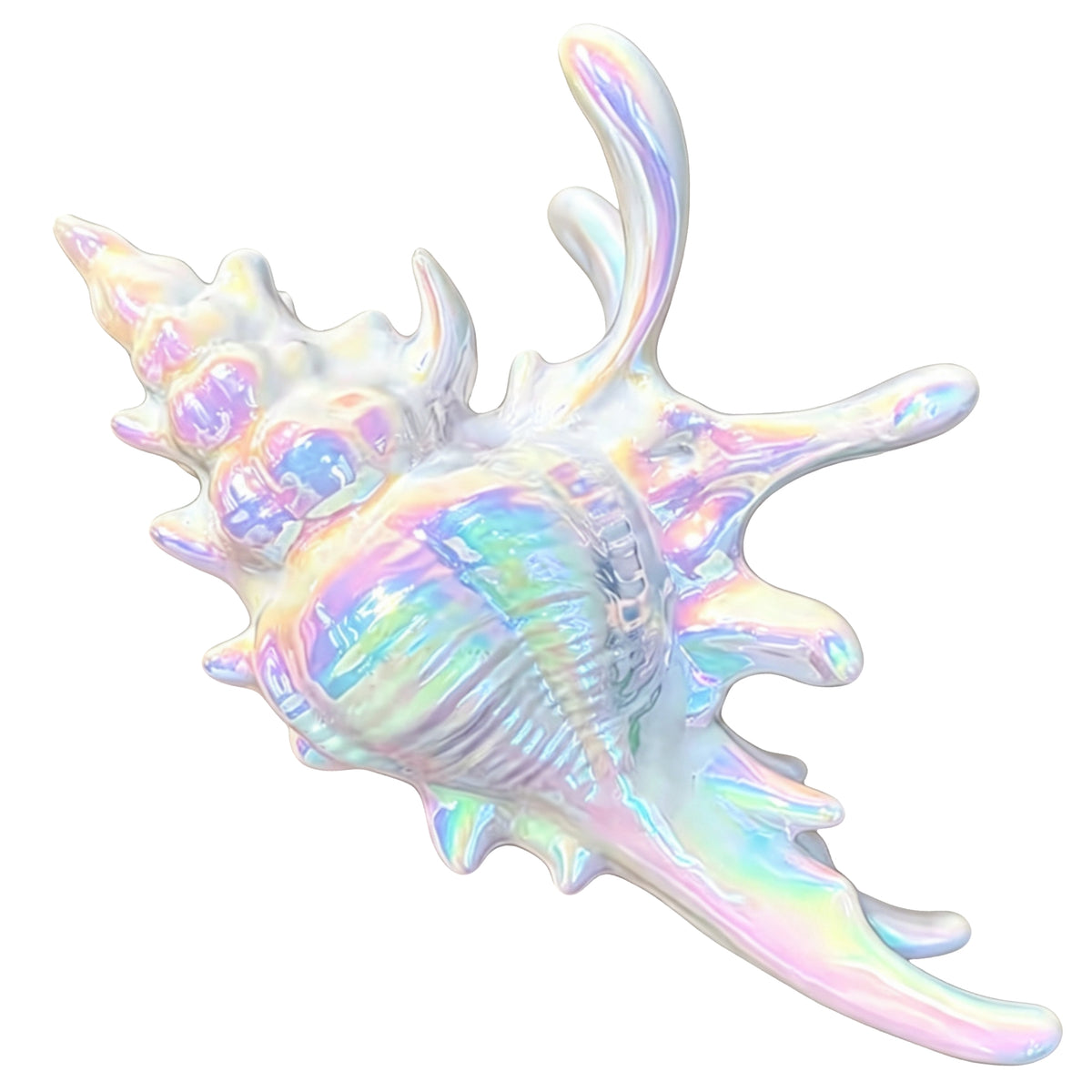 Summer HairClip Colorful  Conch Dreamfilled Elegant HairClip US