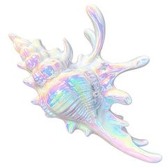 Summer HairClip Colorful  Conch Dreamfilled Elegant HairClip US